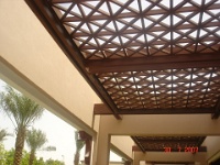 Rashidiya Council (2)